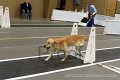 IMG_3176