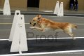 IMG_3178