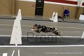 IMG_3204