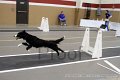 IMG_3210