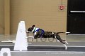 IMG_3214