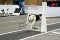 IMG_3233