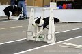 IMG_3234
