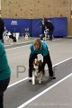 IMG_3264