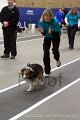IMG_3266