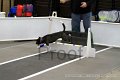 IMG_3268