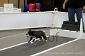 IMG_3270