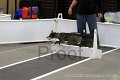 IMG_3271