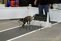 IMG_3272