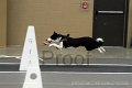 IMG_3273