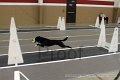IMG_3283