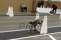 IMG_3294