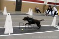 IMG_3326