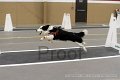 IMG_3353