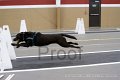 IMG_3356