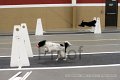 IMG_3365