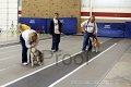 IMG_3367