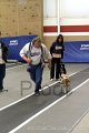 IMG_3368