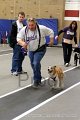 IMG_3372