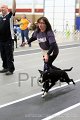 IMG_3380