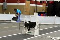 IMG_3386
