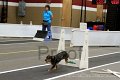 IMG_3391