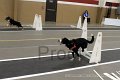 IMG_3397