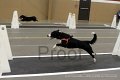 IMG_3398
