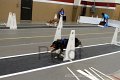IMG_3401