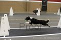 IMG_3414