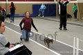 IMG_3439