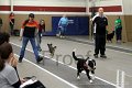 IMG_3440