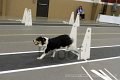 IMG_3461
