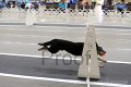 IMG_3467