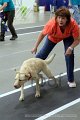 IMG_3485