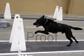 IMG_3517