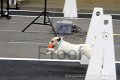 IMG_3521