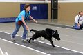 IMG_3528