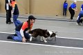 IMG_3548