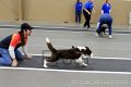 IMG_3549