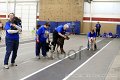 IMG_3552