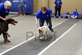 IMG_3555