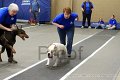 IMG_3556