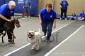 IMG_3557
