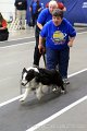IMG_3561