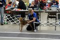 IMG_3582