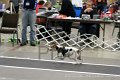 IMG_3592