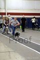 IMG_3608