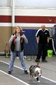 IMG_3611