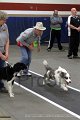 IMG_3617